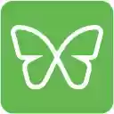 Freedom Website Blocker for Chrome  screen for extension Chrome web store in OffiDocs Chromium