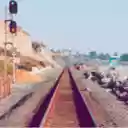 Freeliving  screen for extension Chrome web store in OffiDocs Chromium