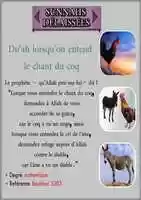 Free download french free photo or picture to be edited with GIMP online image editor