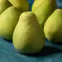 Fresh and delicious grapefruits  screen for extension Chrome web store in OffiDocs Chromium