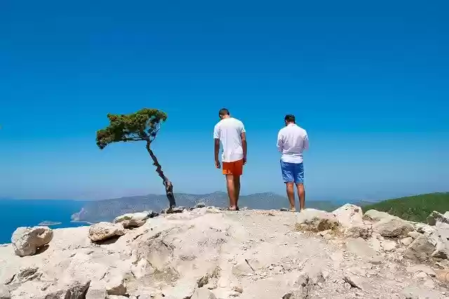 Free download Friends Tree Friendship -  free photo or picture to be edited with GIMP online image editor