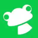 FrogHire.ai H1B Sponsor Checker, Job Analyzer  screen for extension Chrome web store in OffiDocs Chromium