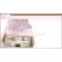 frosting pup  screen for extension Chrome web store in OffiDocs Chromium