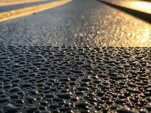 Free download Frost Nature Cold -  free photo or picture to be edited with GIMP online image editor