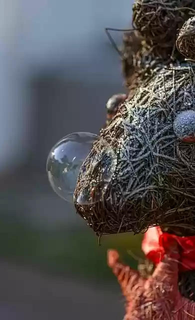 Free download frost soap bubble reindeer close up free picture to be edited with GIMP free online image editor