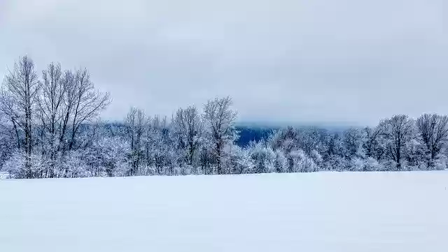 Free download Frost Winter Snow free photo template to be edited with GIMP online image editor