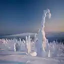 Frozen Forest  screen for extension Chrome web store in OffiDocs Chromium