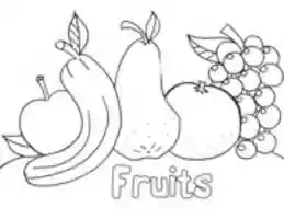 Free download Fruit Coloring Pages Printable free photo or picture to be edited with GIMP online image editor