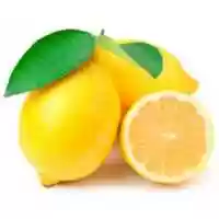 Free download Fruit Lemons free photo or picture to be edited with GIMP online image editor