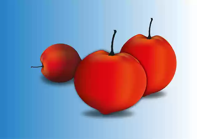 Free download Fruits Apricot Draw Free -  free illustration to be edited with GIMP free online image editor
