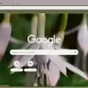 Fuchsia Magellanica  screen for extension Chrome web store in OffiDocs Chromium