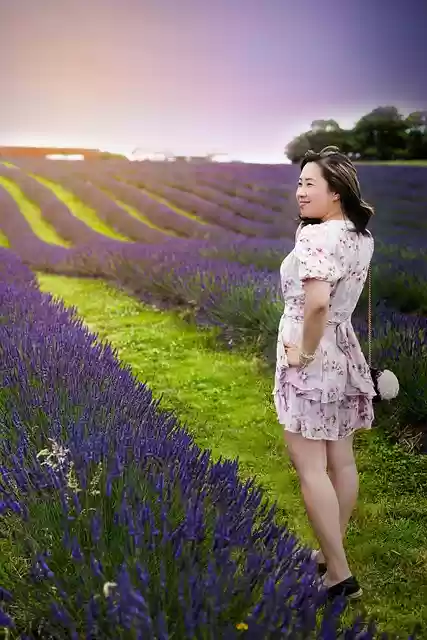 Free download full hd wallpaper desktop wallpaper free picture to be edited with GIMP free online image editor