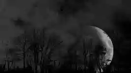 Free download Full Moon Dark Night Moonlight -  free video to be edited with OpenShot online video editor