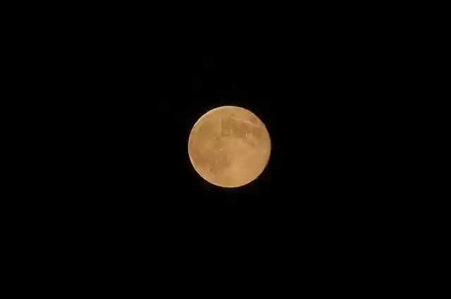 Free download Full Moon Nature Night -  free photo or picture to be edited with GIMP online image editor