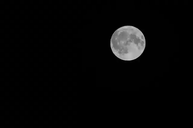 Free download Full Moon Night -  free photo or picture to be edited with GIMP online image editor