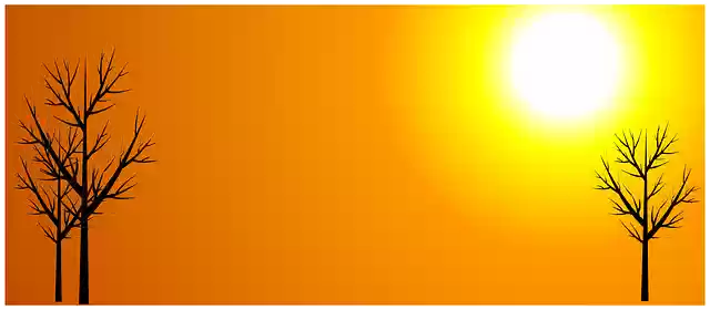 Free download Fund Sun Autumn Sunny -  free illustration to be edited with GIMP free online image editor