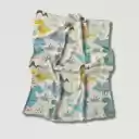 Funny Dinosaur Blanket  screen for extension Chrome web store in OffiDocs Chromium