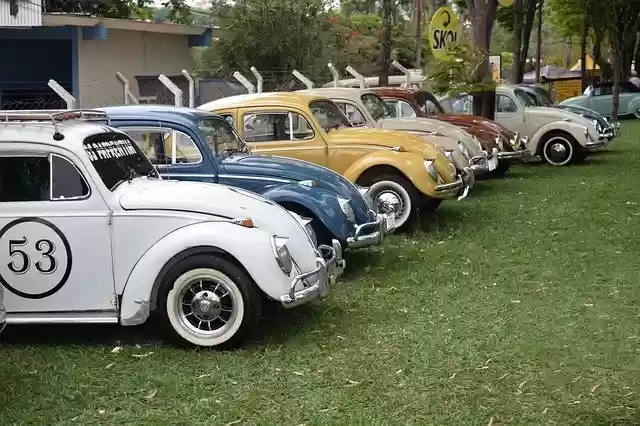 Free download Fusca Herby Vehicle -  free photo or picture to be edited with GIMP online image editor
