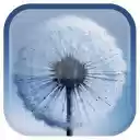 Galaxy S3  screen for extension Chrome web store in OffiDocs Chromium