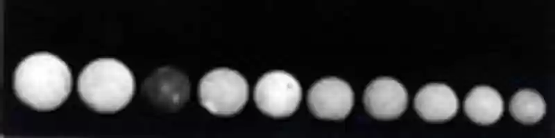 Free download Game ball free photo or picture to be edited with GIMP online image editor