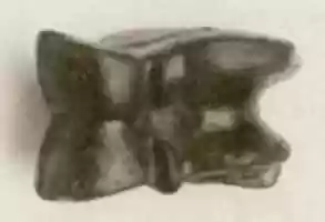 Free download Game piece, knuckle bone free photo or picture to be edited with GIMP online image editor