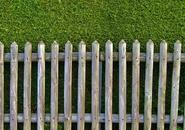 Free download Garden Fence Wood Battens Thuya -  free photo or picture to be edited with GIMP online image editor