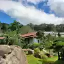 Garden in the Heart of Da Lat Forest  screen for extension Chrome web store in OffiDocs Chromium