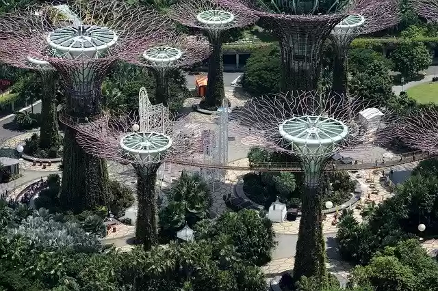 Free download Gardens By The Bay Singapore -  free photo or picture to be edited with GIMP online image editor