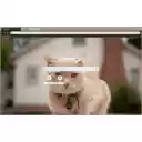 Gatinho  screen for extension Chrome web store in OffiDocs Chromium