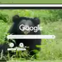 Gau ngua  screen for extension Chrome web store in OffiDocs Chromium