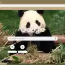 Gau Truc  screen for extension Chrome web store in OffiDocs Chromium