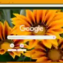 Gazania  screen for extension Chrome web store in OffiDocs Chromium