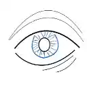 GDRIVE Image Manager  screen for extension Chrome web store in OffiDocs Chromium