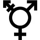 Gender Ender 2.0  screen for extension Chrome web store in OffiDocs Chromium