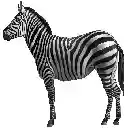 General Zebra Theme  screen for extension Chrome web store in OffiDocs Chromium