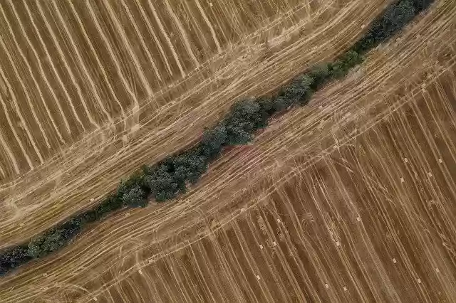 Free download Geometric Pattern Agriculture -  free photo or picture to be edited with GIMP online image editor