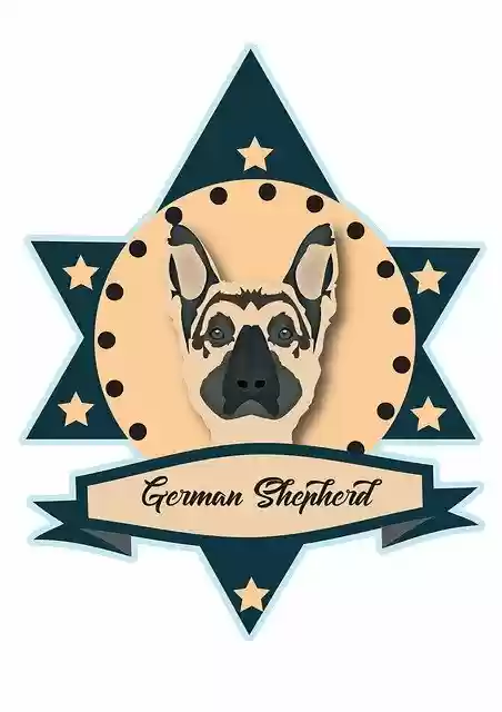 הורדה חינם של כלב רועה גרמני חיית מחמד - תמונה או תמונה בחינם לעריכה עם עורך התמונות המקוון GIMP