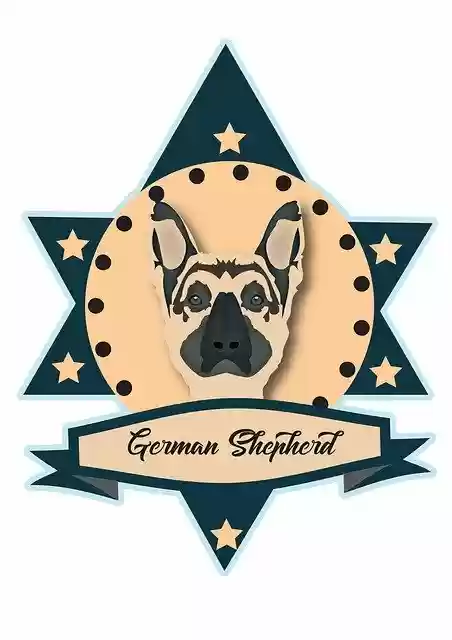 Free download German Shepherd Dog Pet -  free photo or picture to be edited with GIMP online image editor