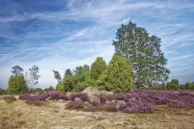 Free download Germany Lüneburg Heath HannibalS -  free photo or picture to be edited with GIMP online image editor