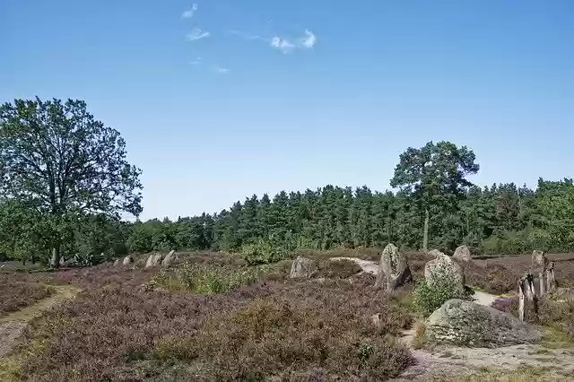 Free download Germany Oldendorfer Dead Instead -  free photo or picture to be edited with GIMP online image editor