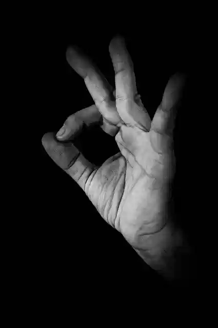 Free download gestures hands black and white free picture to be edited with GIMP free online image editor