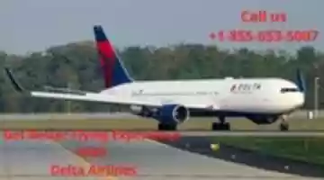 Free download Get Best Discounted Flight Tickets With Delta Airlines Reservations free photo or picture to be edited with GIMP online image editor
