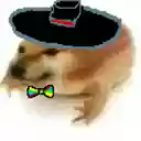 Get IPv4  screen for extension Chrome web store in OffiDocs Chromium