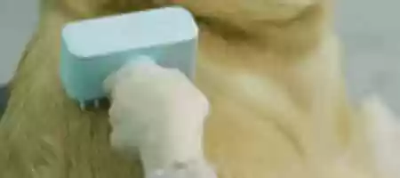 Free download GIF 2 free photo or picture to be edited with GIMP online image editor