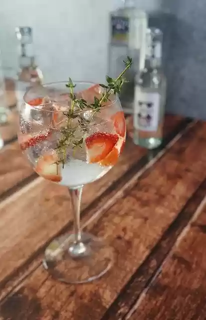 Free download Gin Tonic Cocktails Summer Drinks -  free photo or picture to be edited with GIMP online image editor