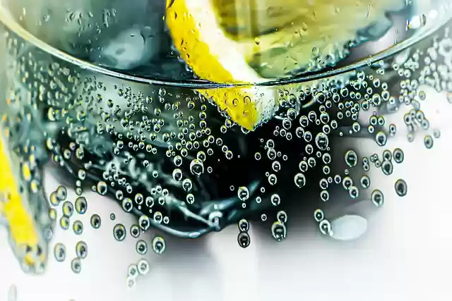 Free download gin tonic cocktail summer drink free picture to be edited with GIMP free online image editor