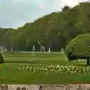 Giraffe in the park  screen for extension Chrome web store in OffiDocs Chromium