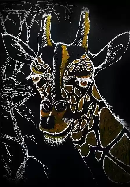 Free download Giraffe Sketch Drawing On Black -  free illustration to be edited with GIMP free online image editor