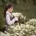 Girl and little chrysanthemum  screen for extension Chrome web store in OffiDocs Chromium