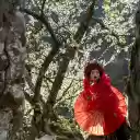 Girl and red umbrella  screen for extension Chrome web store in OffiDocs Chromium